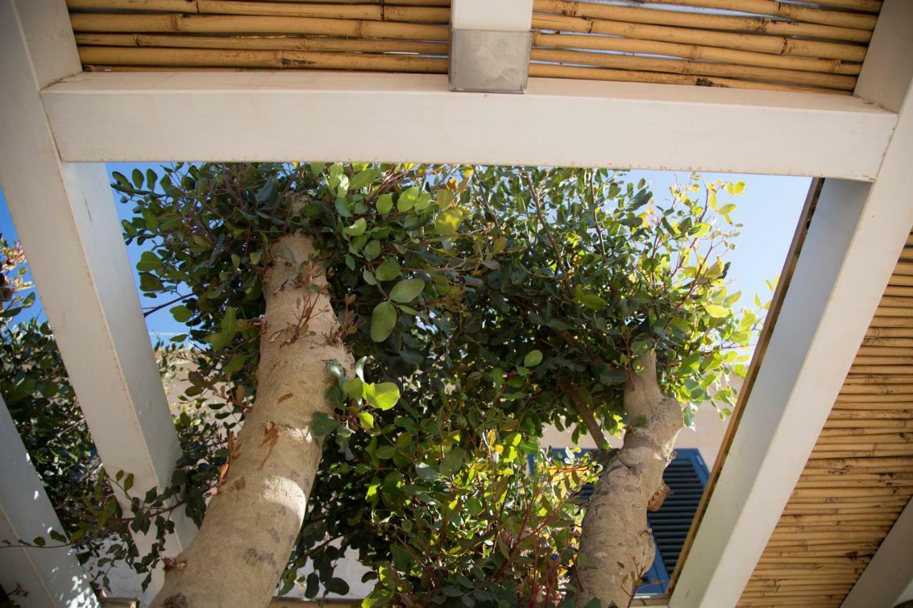 Le Suites Del Carrubo Favignana Exterior foto